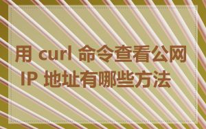 用 curl 命令查看公网 IP 地址有哪些方法