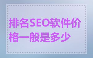 排名SEO软件价格一般是多少