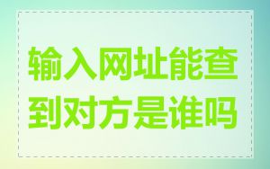 输入网址能查到对方是谁吗