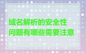 域名解析的安全性问题有哪些需要注意