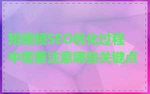 短视频SEO优化过程中需要注意哪些关键点