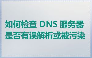 如何检查 DNS 服务器是否有误解析或被污染