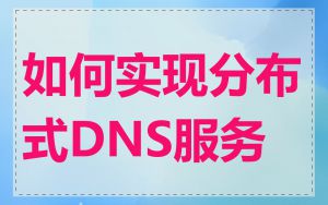 如何实现分布式DNS服务