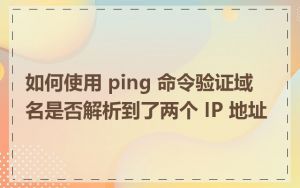 如何使用 ping 命令验证域名是否解析到了两个 IP 地址