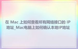 在 Mac 上如何查看所有网络接口的 IP 地址_Mac电脑上如何确认本地IP地址