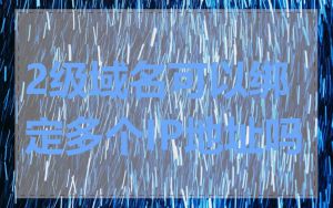 2级域名可以绑定多个IP地址吗
