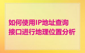 如何使用IP地址查询接口进行地理位置分析