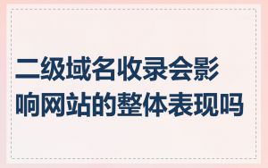 二级域名收录会影响网站的整体表现吗