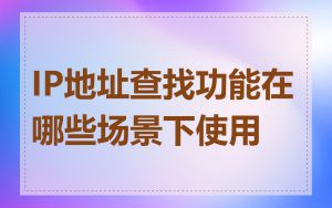 IP地址查找功能在哪些场景下使用