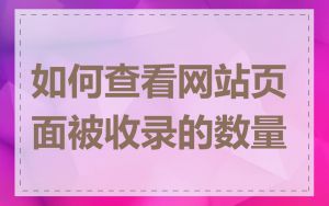 如何查看网站页面被收录的数量