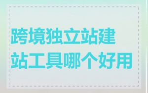 跨境独立站建站工具哪个好用