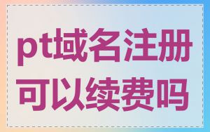 pt域名注册可以续费吗