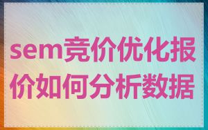 sem竞价优化报价如何分析数据