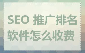 SEO 推广排名软件怎么收费