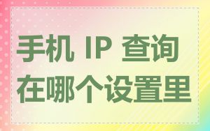 手机 IP 查询在哪个设置里