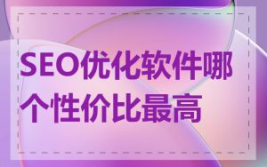 SEO优化软件哪个性价比最高