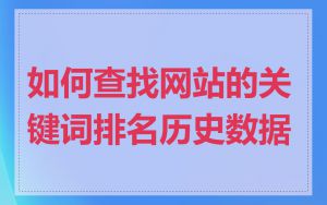如何查找网站的关键词排名历史数据