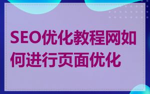 SEO优化教程网如何进行页面优化