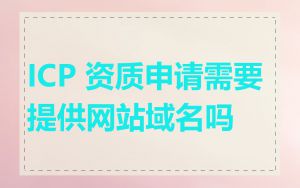 ICP 资质申请需要提供网站域名吗