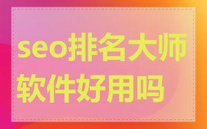 seo排名大师软件好用吗