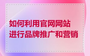 如何利用官网网站进行品牌推广和营销