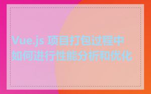 Vue.js 项目打包过程中如何进行性能分析和优化