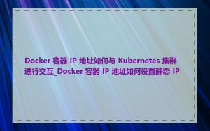 Docker 容器 IP 地址如何与 Kubernetes 集群进行交互_Docker 容器 IP 地址如何设置静态 IP