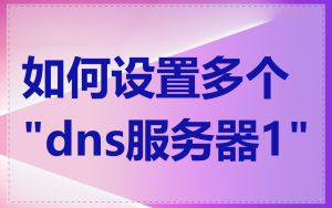 如何设置多个"dns服务器1"