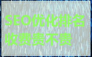SEO优化排名收费贵不贵