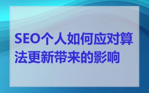 SEO个人如何应对算法更新带来的影响