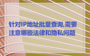 针对IP地址批量查询,需要注意哪些法律和隐私问题