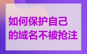 如何保护自己的域名不被抢注