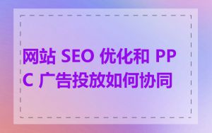 网站 SEO 优化和 PPC 广告投放如何协同