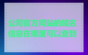 公司官方网站的域名信息在哪里可以查到