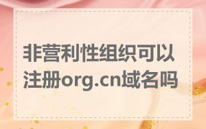 非营利性组织可以注册org.cn域名吗