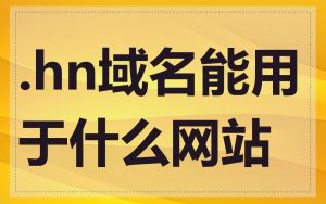 .hn域名能用于什么网站