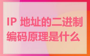 IP 地址的二进制编码原理是什么