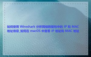 如何使用 Wireshark 分析网络数据包中的 IP 和 MAC 地址信息_如何在 macOS 中查看 IP 地址和 MAC 地址