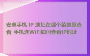安卓手机 IP 地址在哪个菜单里查看_手机连WiFi如何查看IP地址
