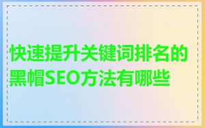 快速提升关键词排名的黑帽SEO方法有哪些