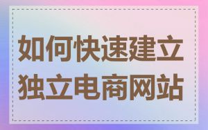 如何快速建立独立电商网站
