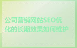 公司营销网站SEO优化的长期效果如何维护