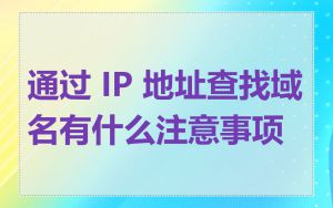 通过 IP 地址查找域名有什么注意事项