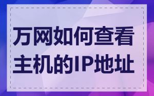万网如何查看主机的IP地址