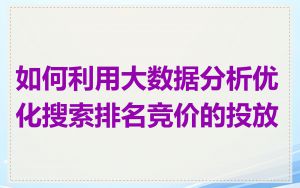 如何利用大数据分析优化搜索排名竞价的投放