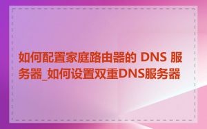 如何配置家庭路由器的 DNS 服务器_如何设置双重DNS服务器