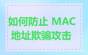 如何防止 MAC 地址欺骗攻击