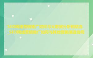 SEO网络营销推广如何与大数据分析相结合_SEO网络营销推广如何与其他营销渠道协同