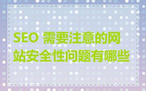 SEO 需要注意的网站安全性问题有哪些