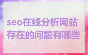 seo在线分析网站存在的问题有哪些